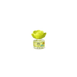 Flor Perfumada Melón 50 ml