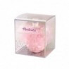 Fragancia Efecto Brillo Rosa 100ml